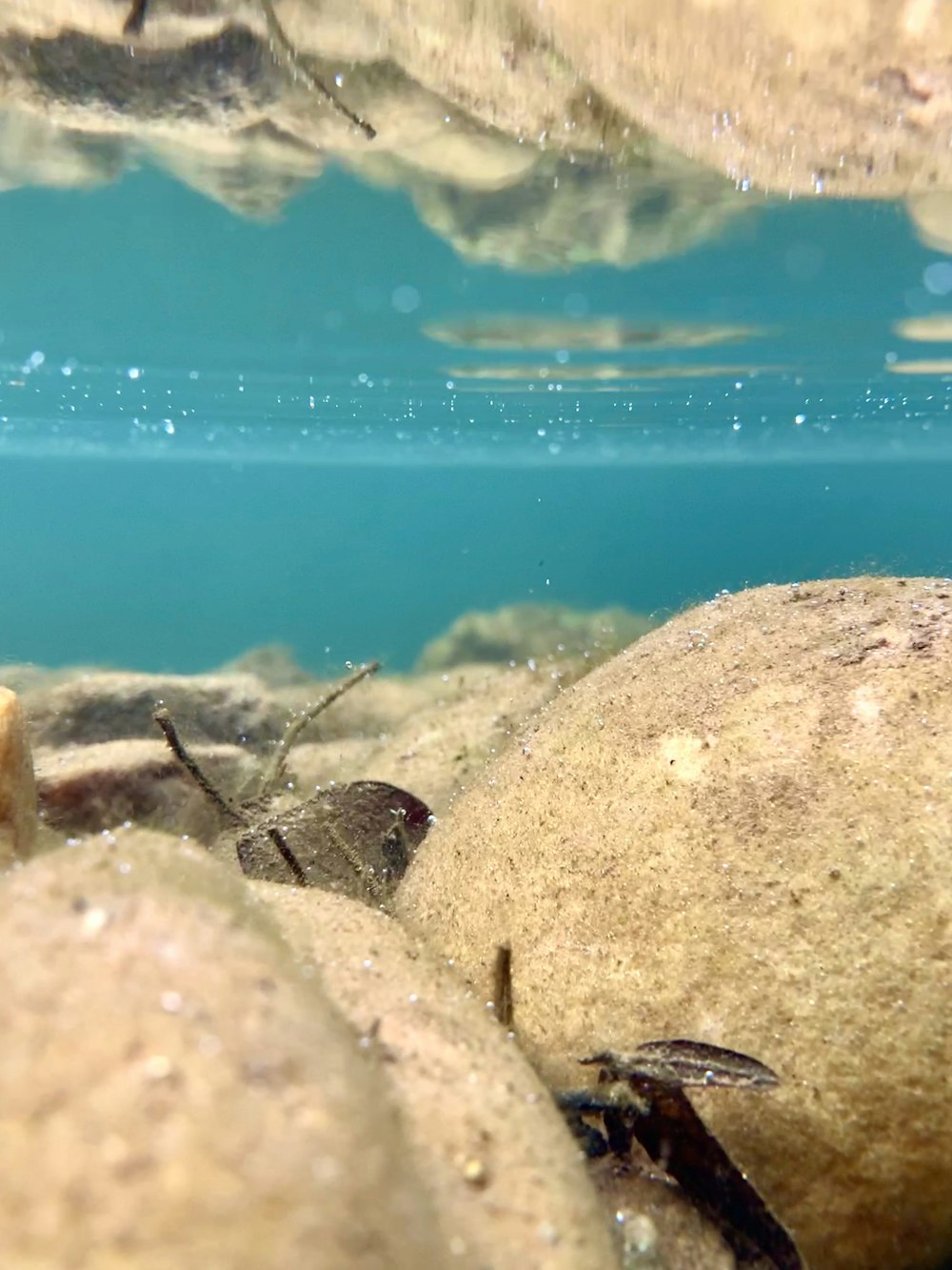 brown and gray rocks on blue water