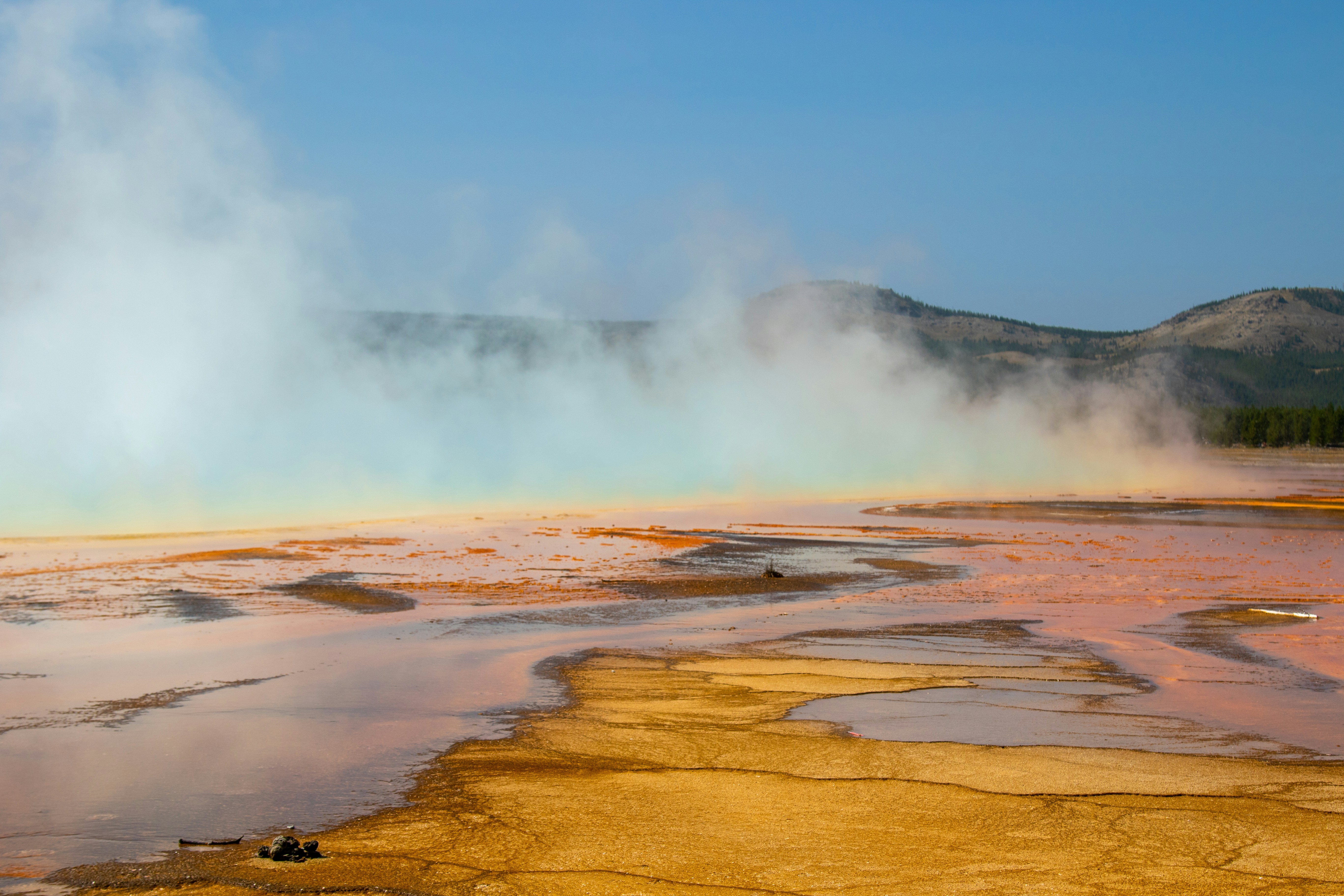 Photo by colt10jordan