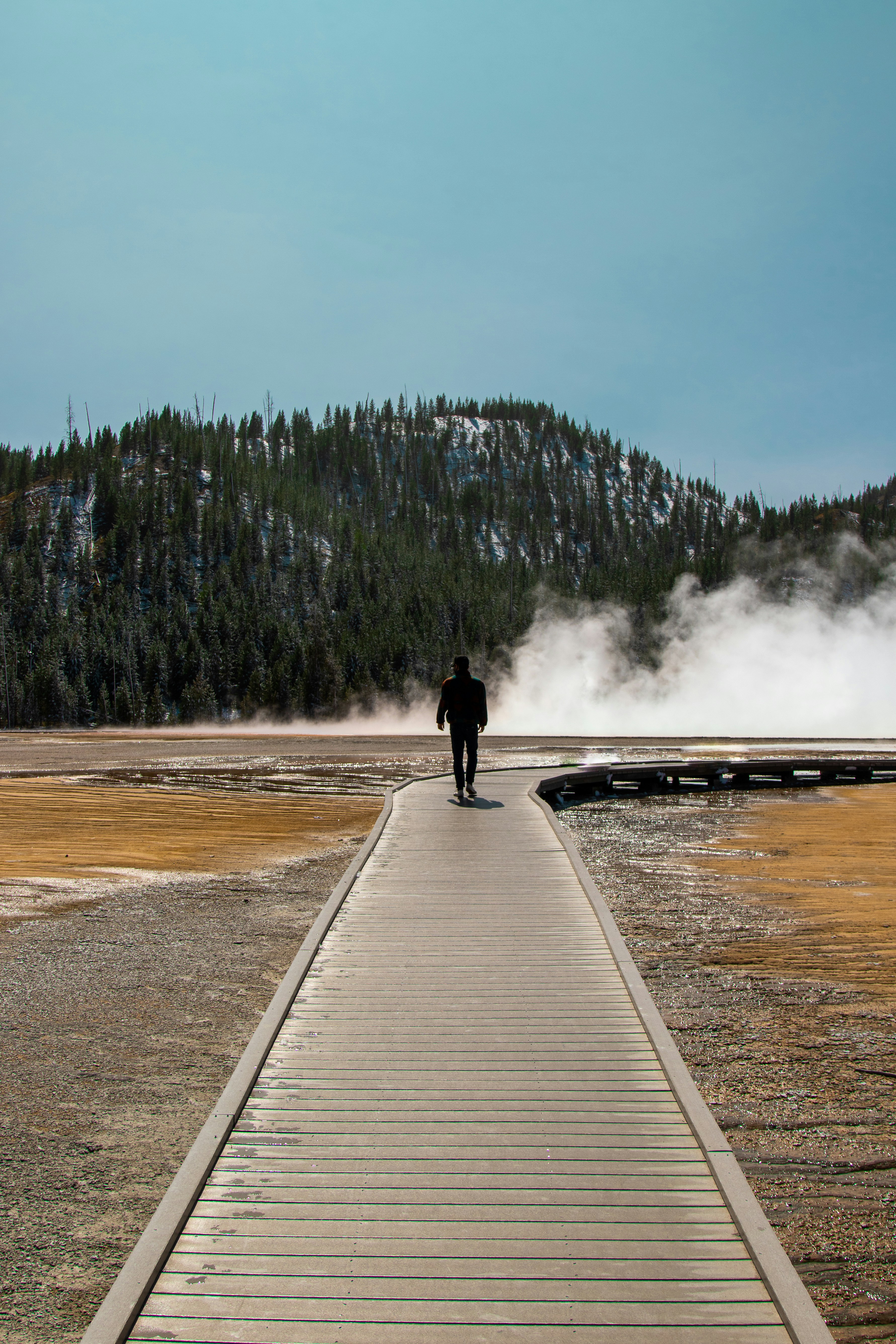 person walking on wooden bridge near green trees during daytime