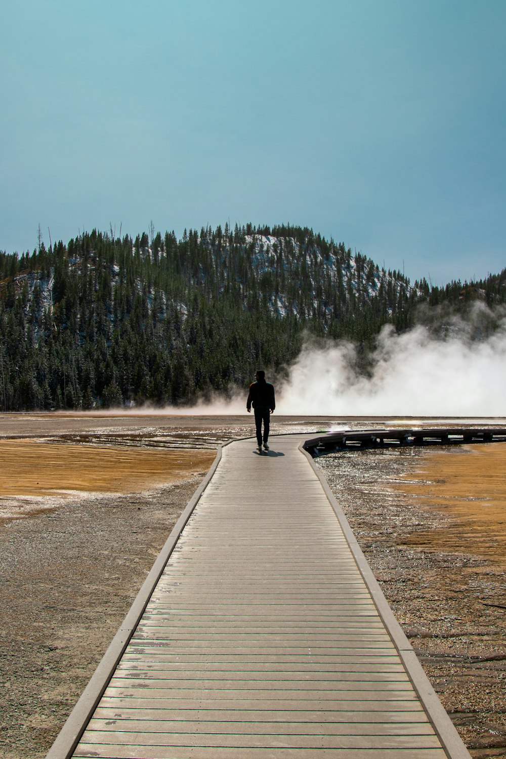 person walking on wooden bridge near green trees during daytime