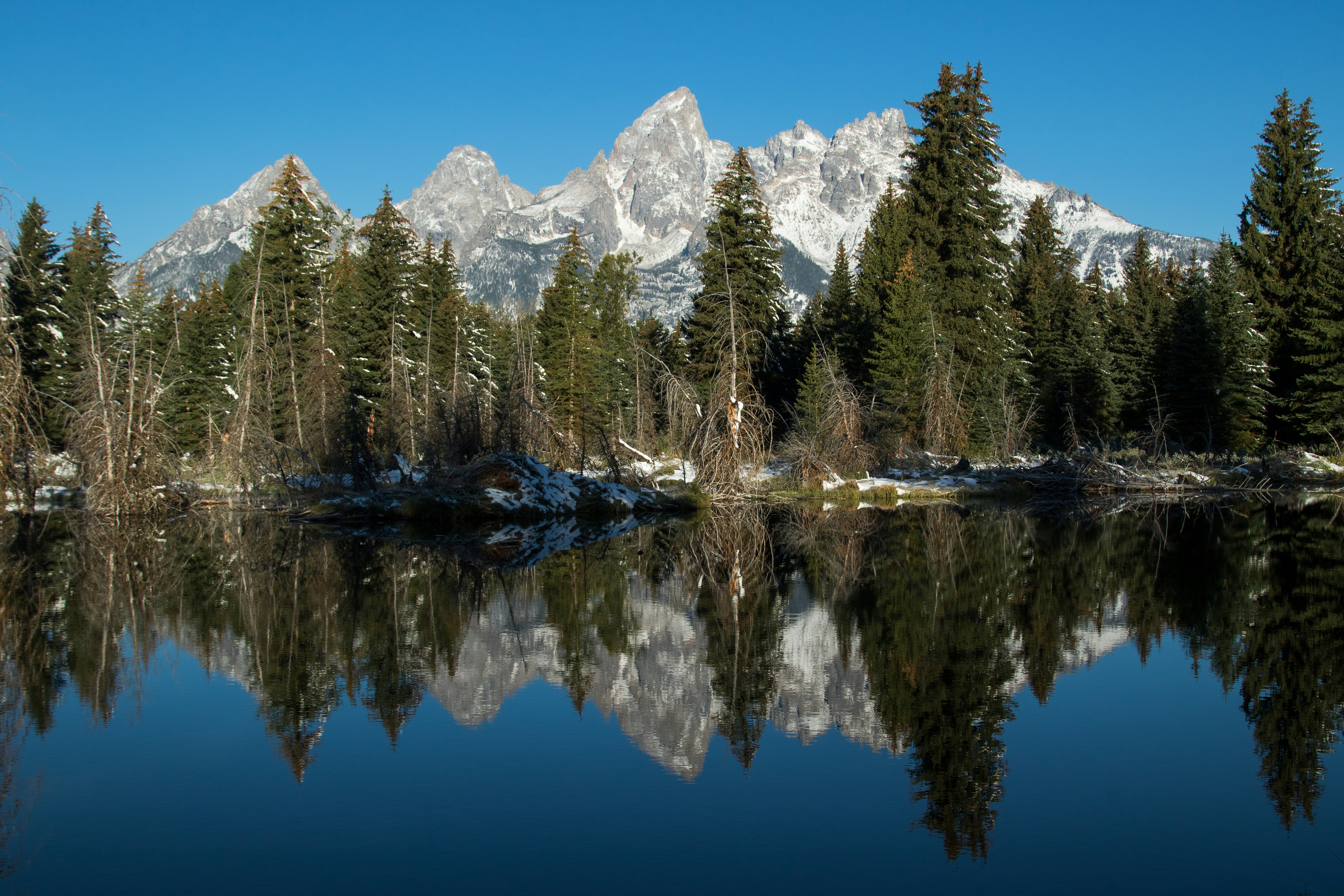 Photo by colt10jordan