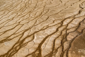 The image depicts a textured surface with prominent lines and grooves, resembling dried mud or sediment. The pattern is irregular, giving an impression of natural erosion or geological processes.