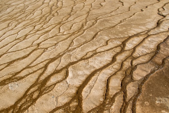 The image depicts a textured surface with prominent lines and grooves, resembling dried mud or sediment. The pattern is irregular, giving an impression of natural erosion or geological processes.