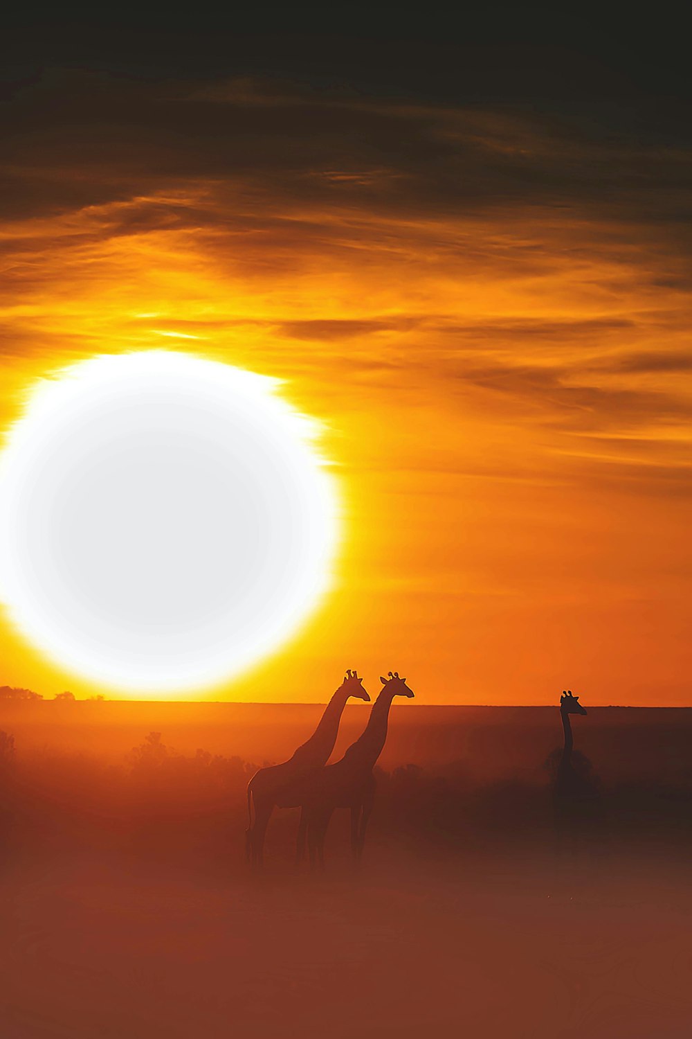 silhouette of 2 person standing on sand during sunset