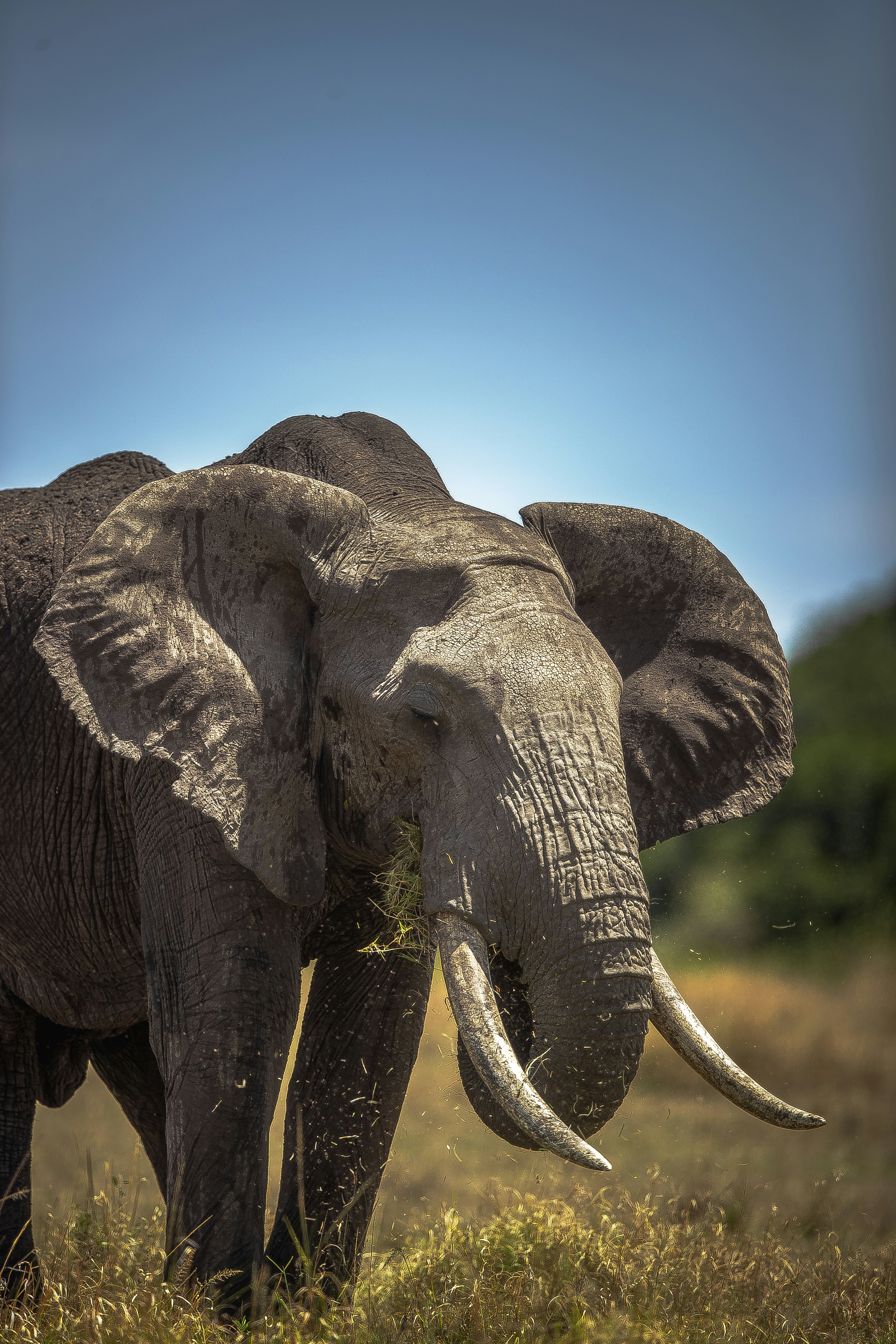 Photo by keyursphotography