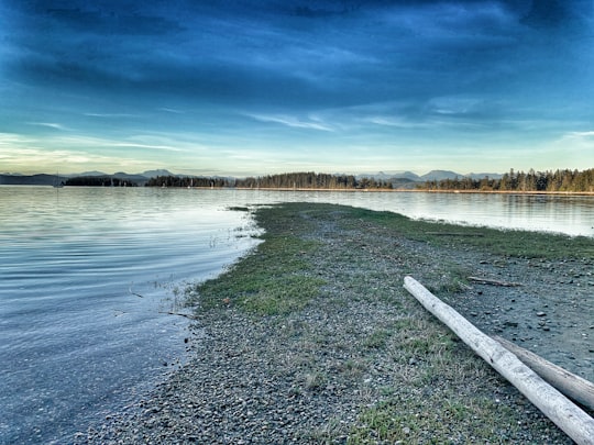 body of water near green grass field under blue sky during daytime in Rebecca Spit Marine Provincial Park Canada