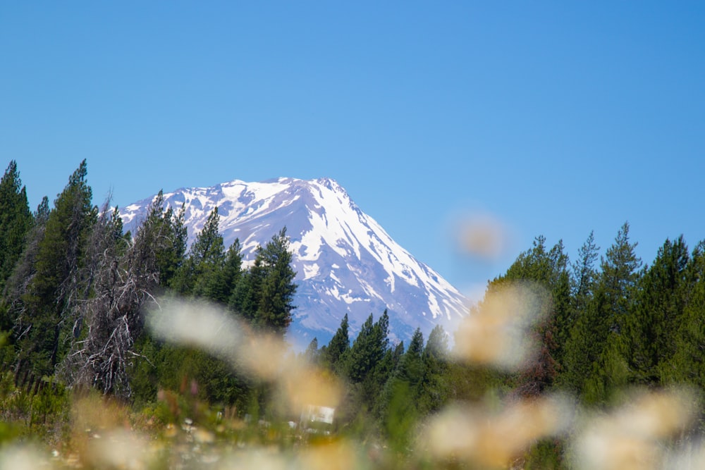 snow covered mountain under blue sky during daytime