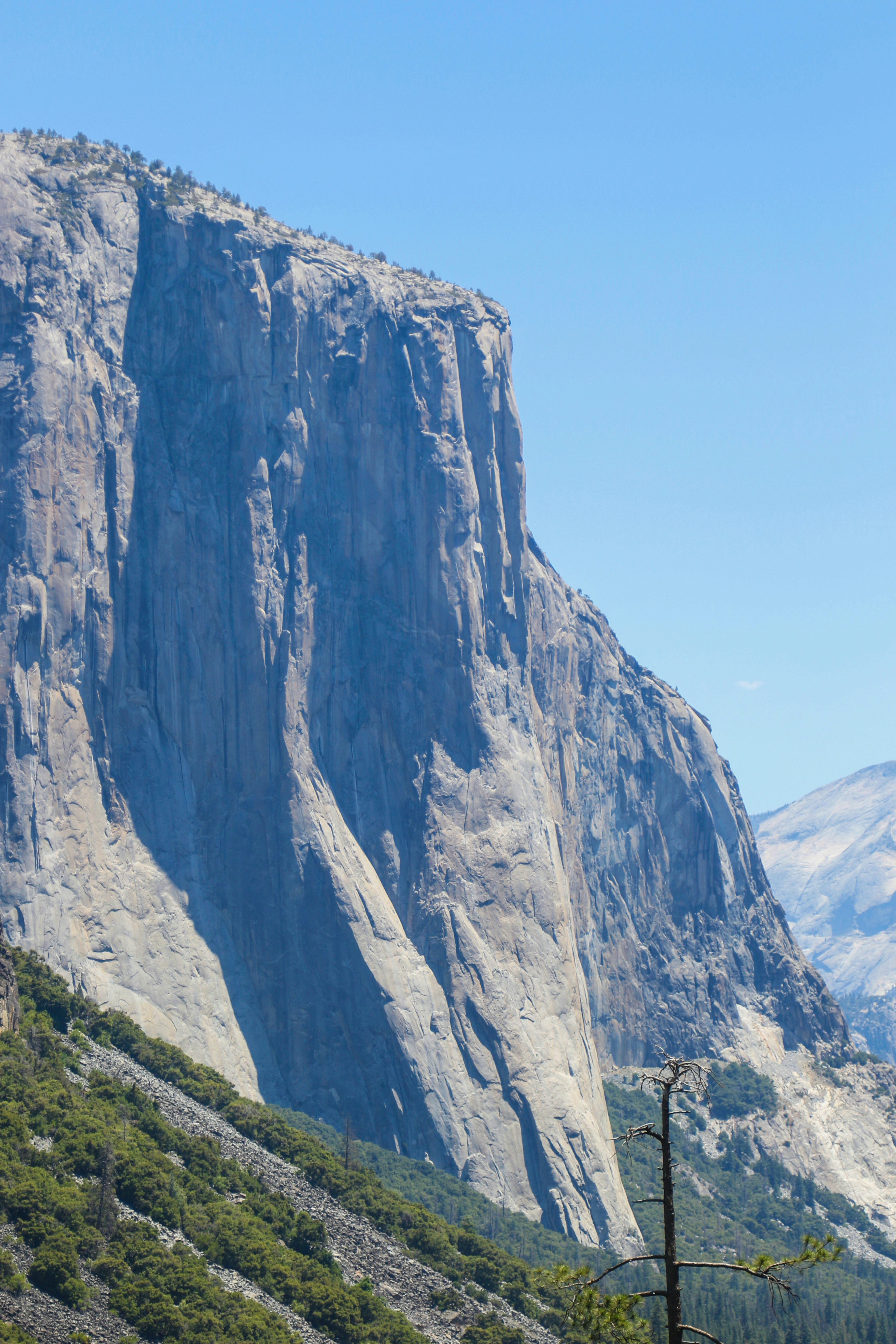 Photo by colt10jordan