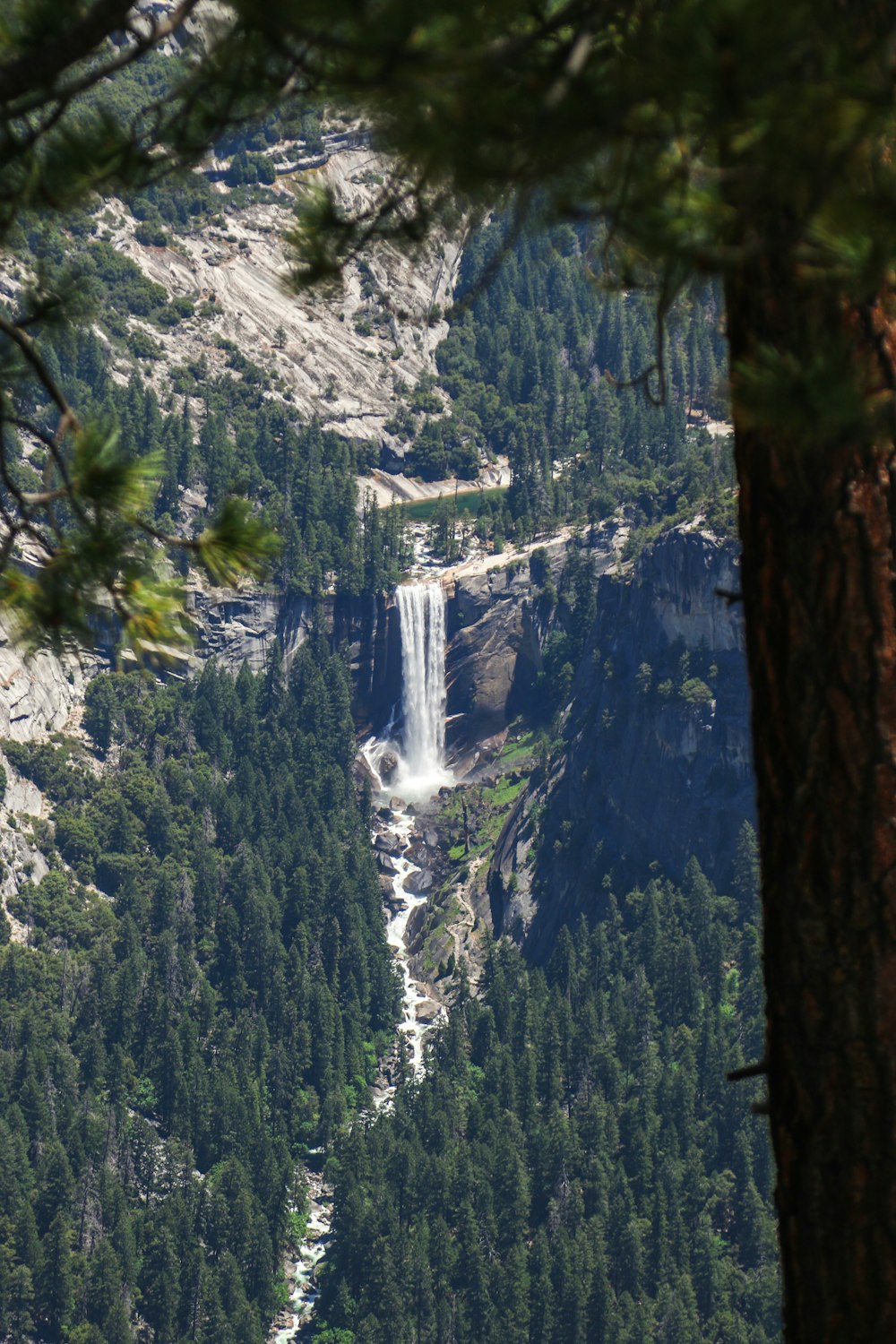 green trees near waterfalls during daytime