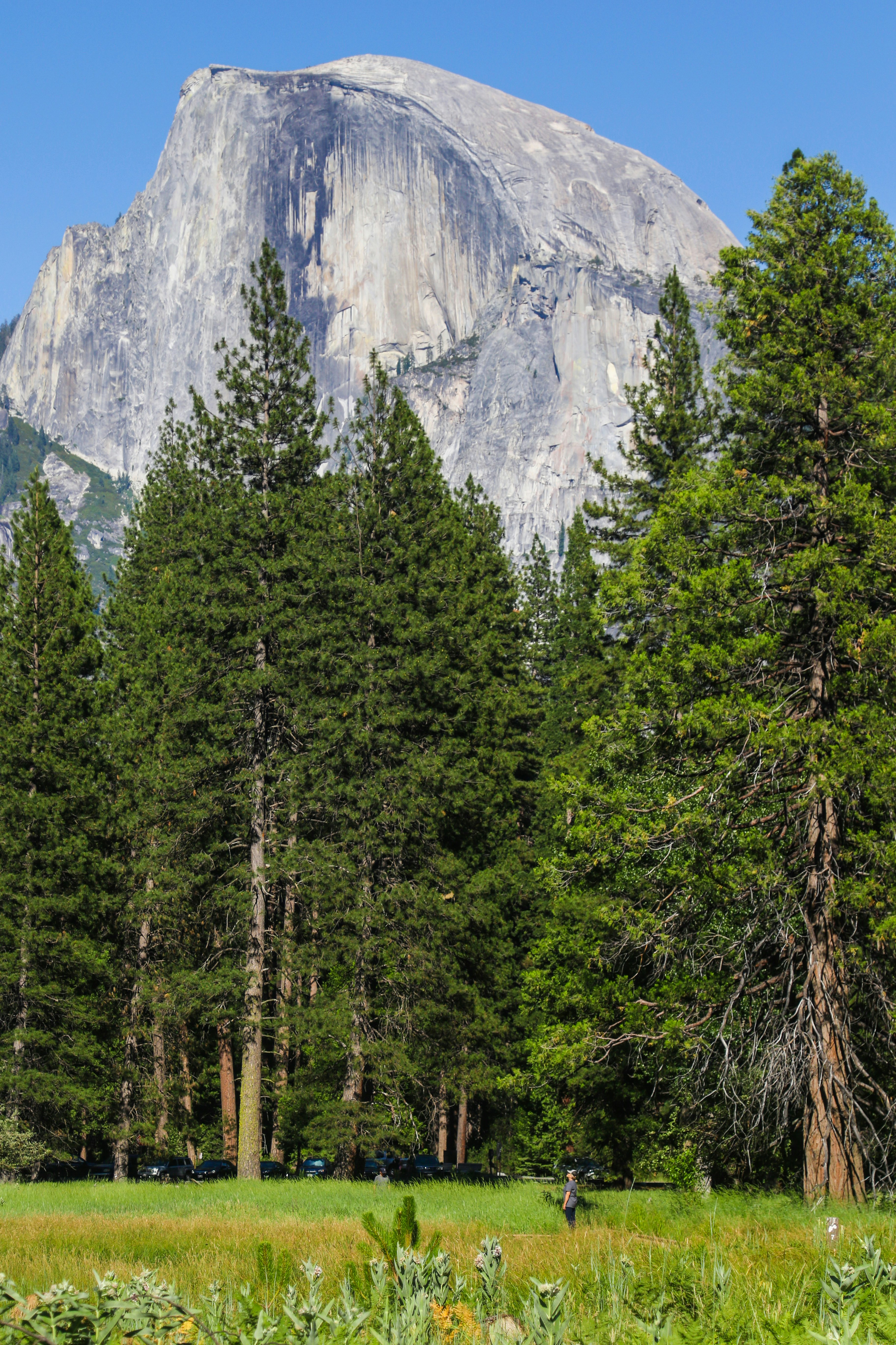 Photo by colt10jordan