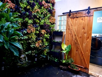 A cozy indoor space featuring a vertical garden with lush greenery and colorful foliage. A serene statue of a person sitting in a meditative pose is placed among the plants. A wooden sliding barn door is open, revealing a modern laundry room with a washing machine. Various potted plants are arranged on wooden shelves alongside the door.