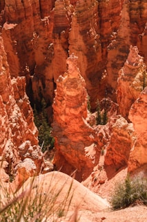 A landscape featuring dramatic and towering rock formations with a rich, earthy red hue. The rock structures appear to be part of a canyon, with some vegetation, including small green shrubs, growing in the crevices.