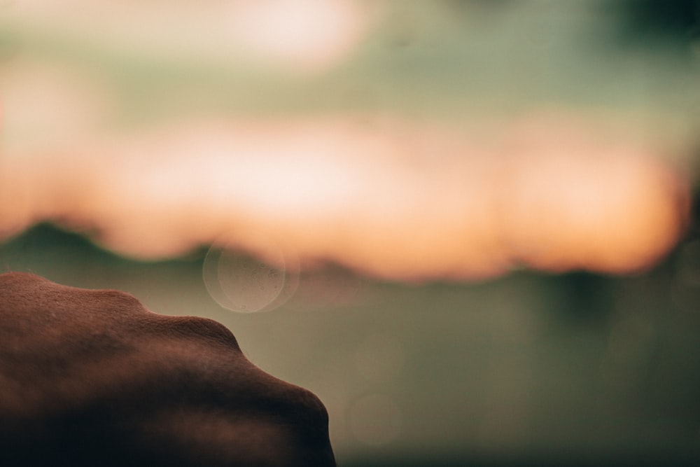 persons hand in front of sun