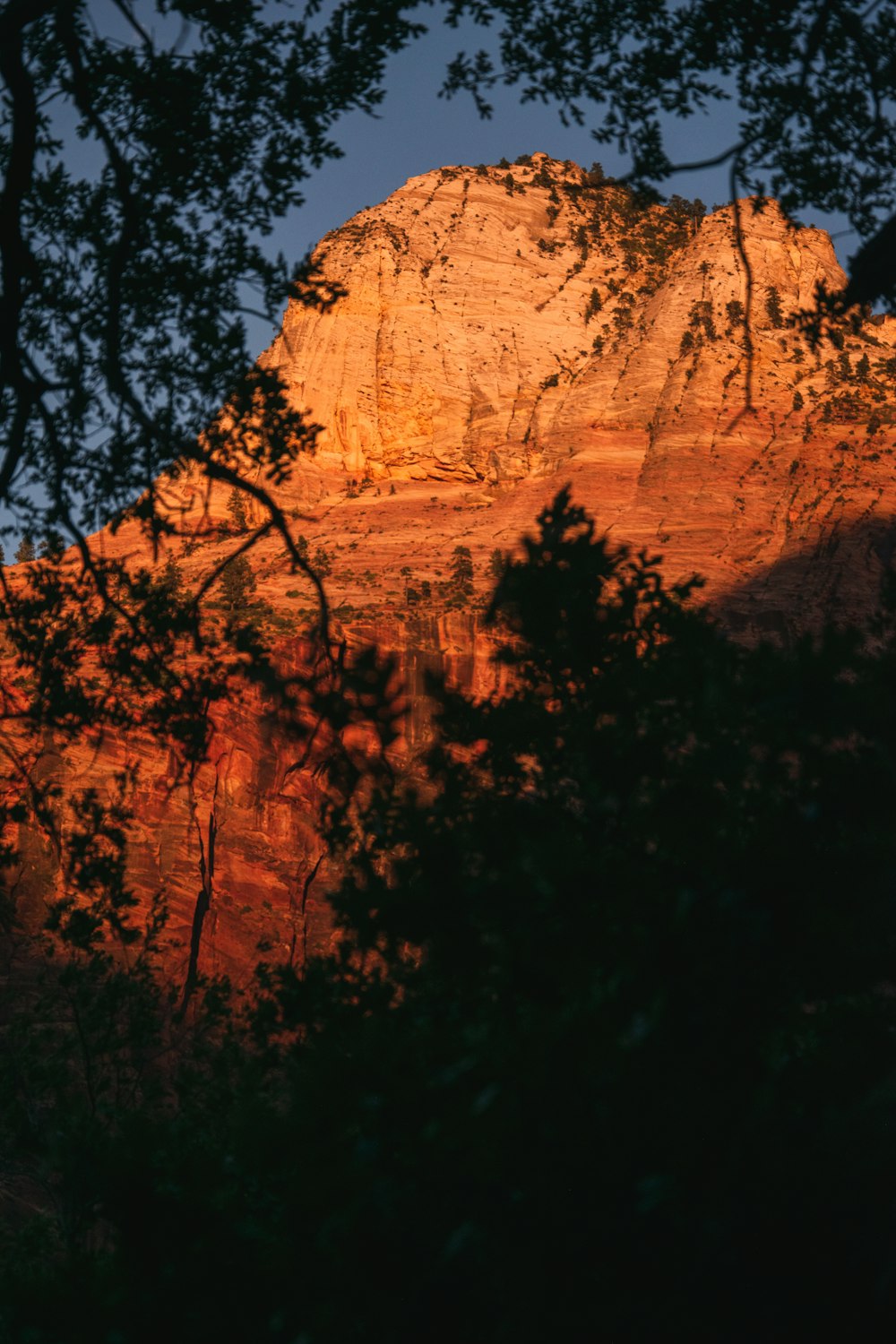 brown rocky mountain with green trees