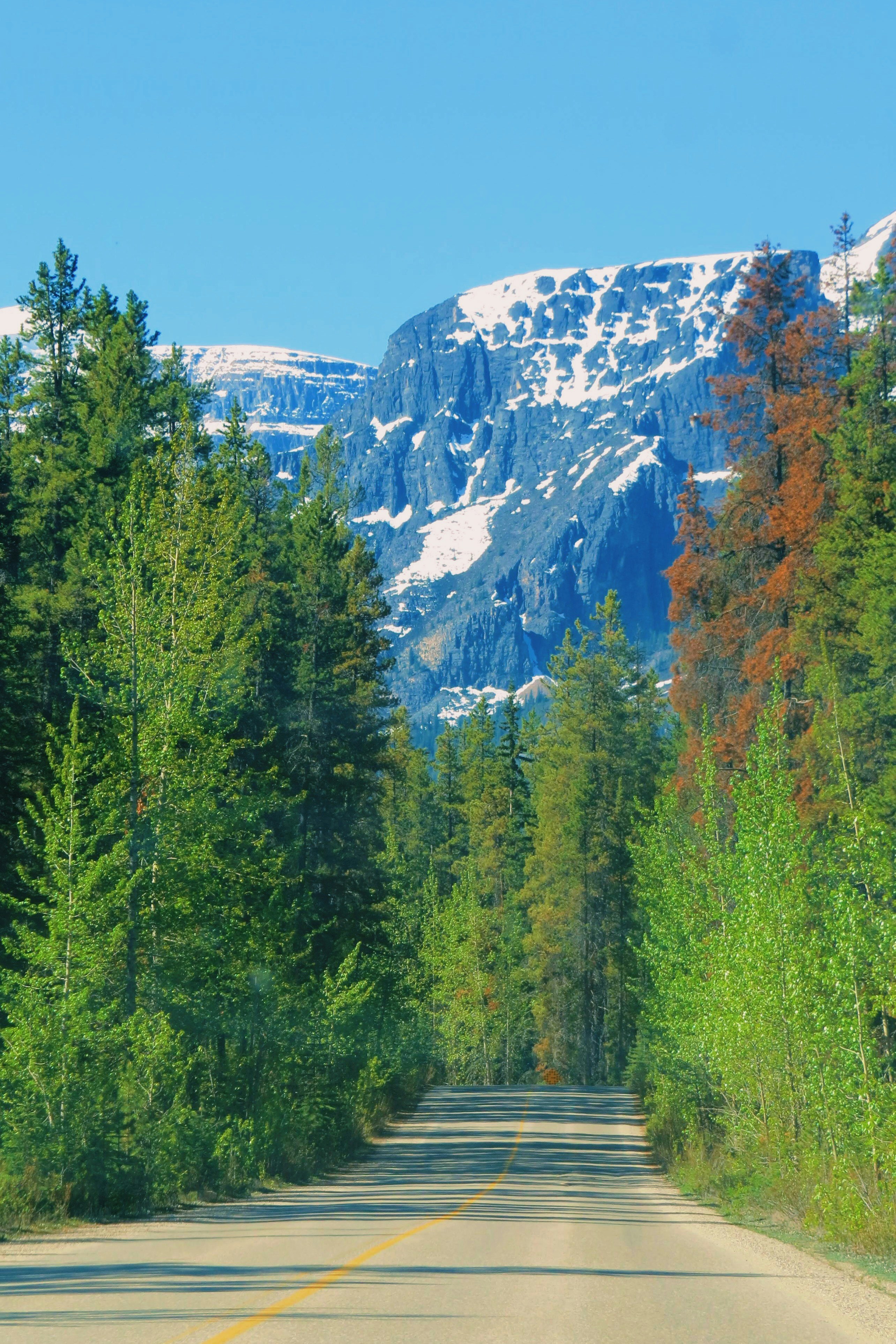 Photo by franciscobachez