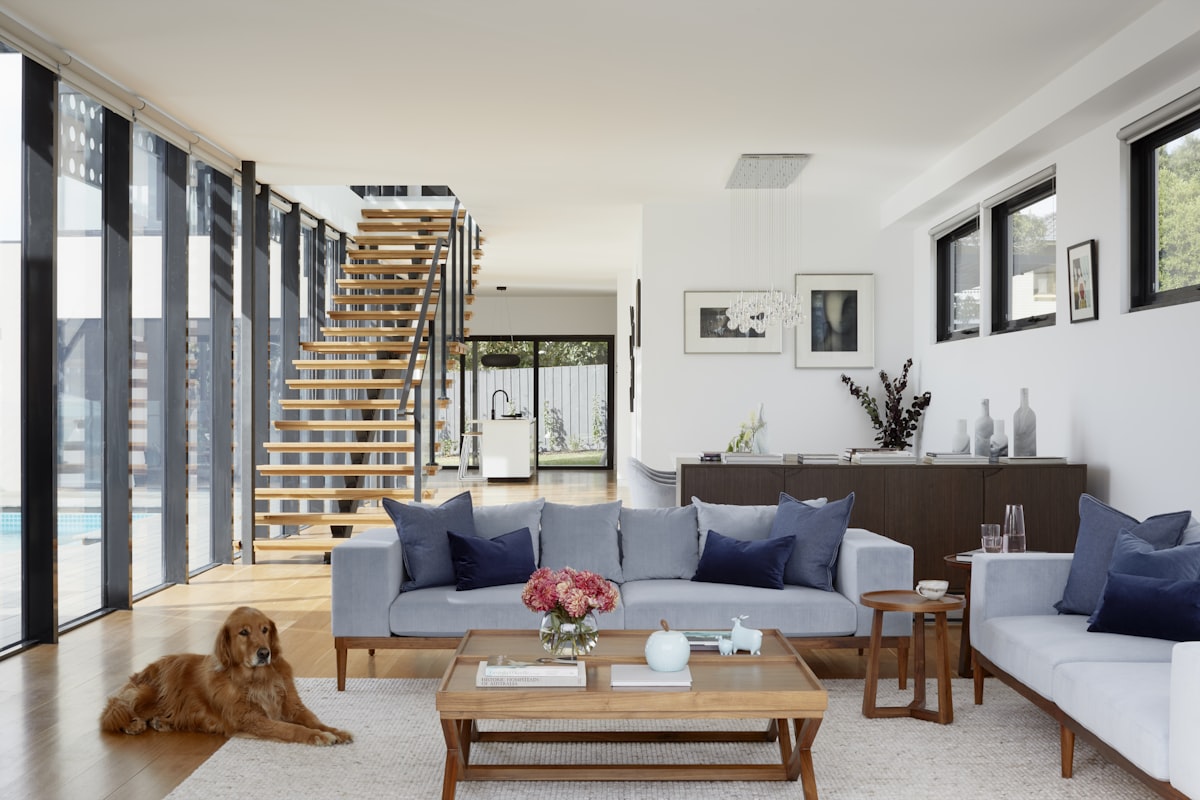 Open-plan living space in a completed Summit renovation