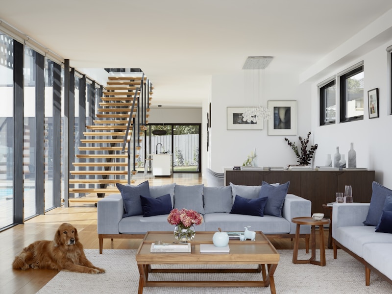 Motorlu Giyotin Cam - 1