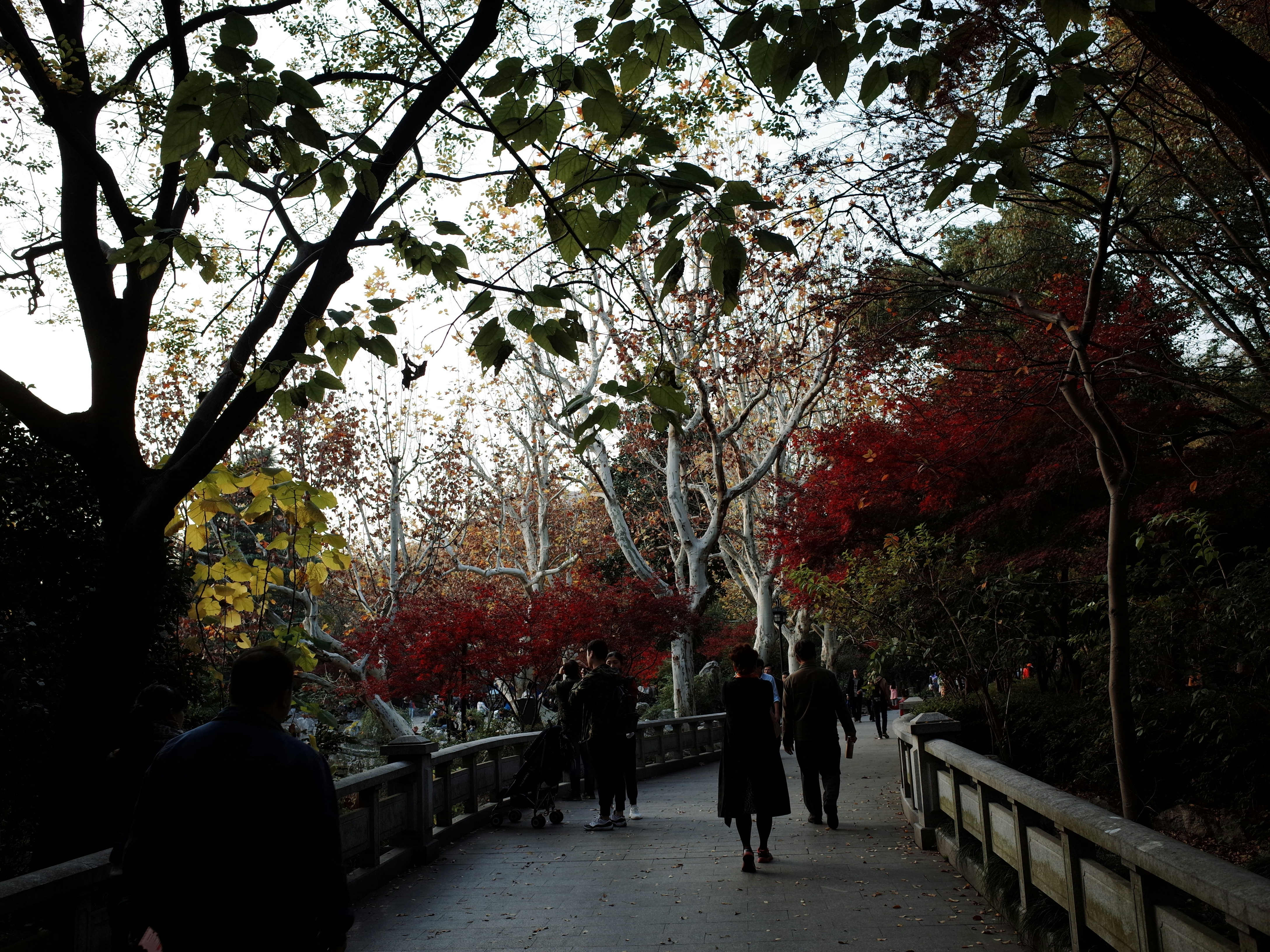 Photo by mclee