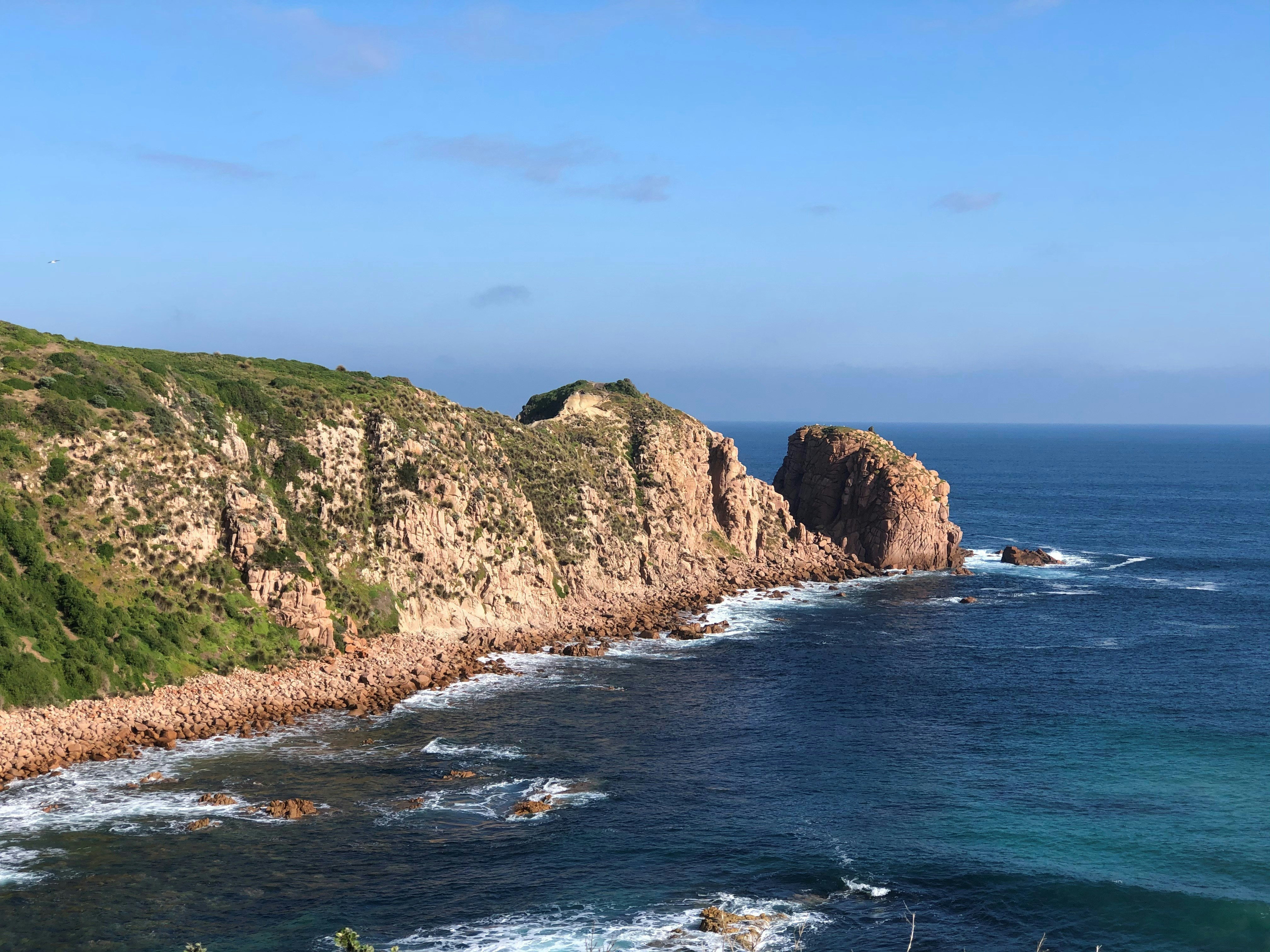 Photo by choona_fish