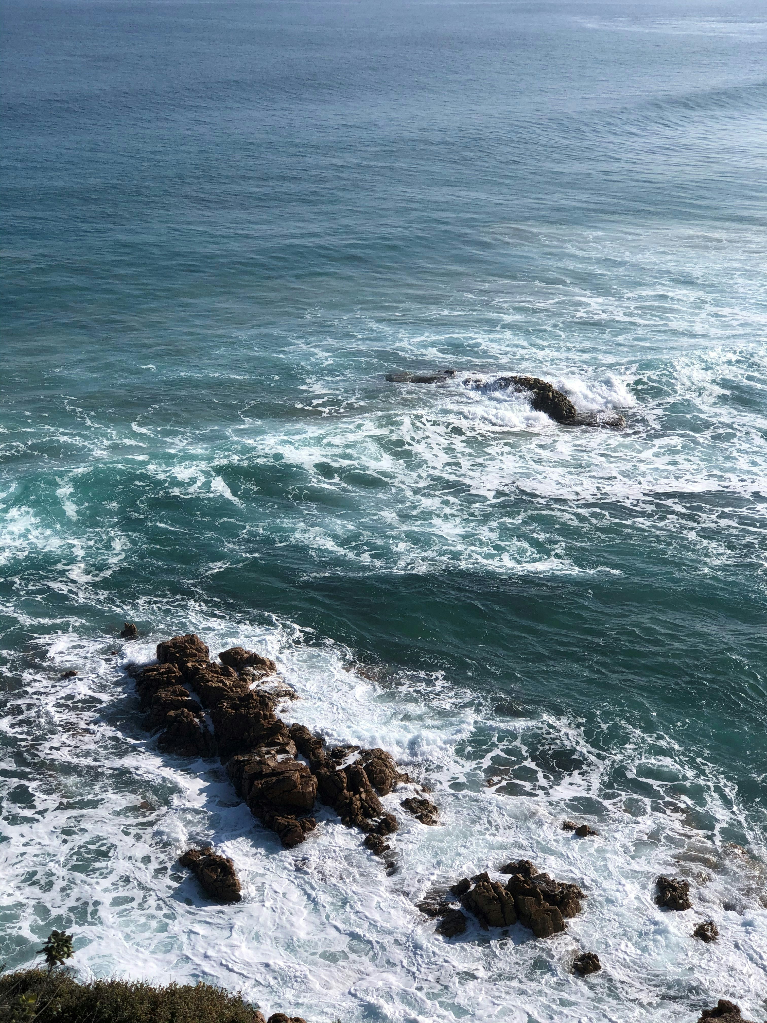 Photo by choona_fish