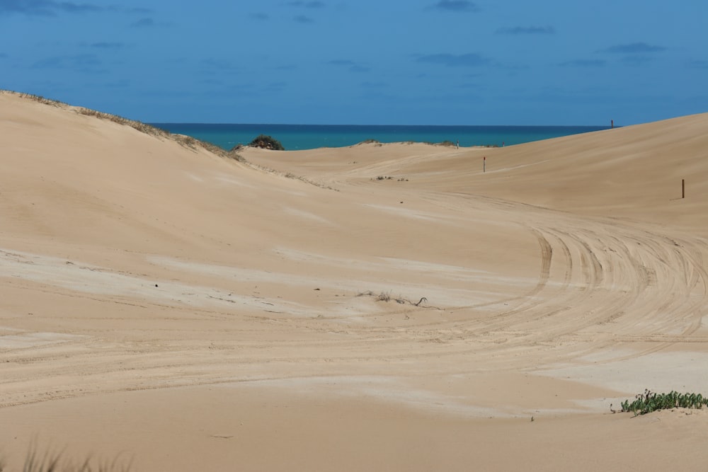 a sandy beach with a blue ocean in the background