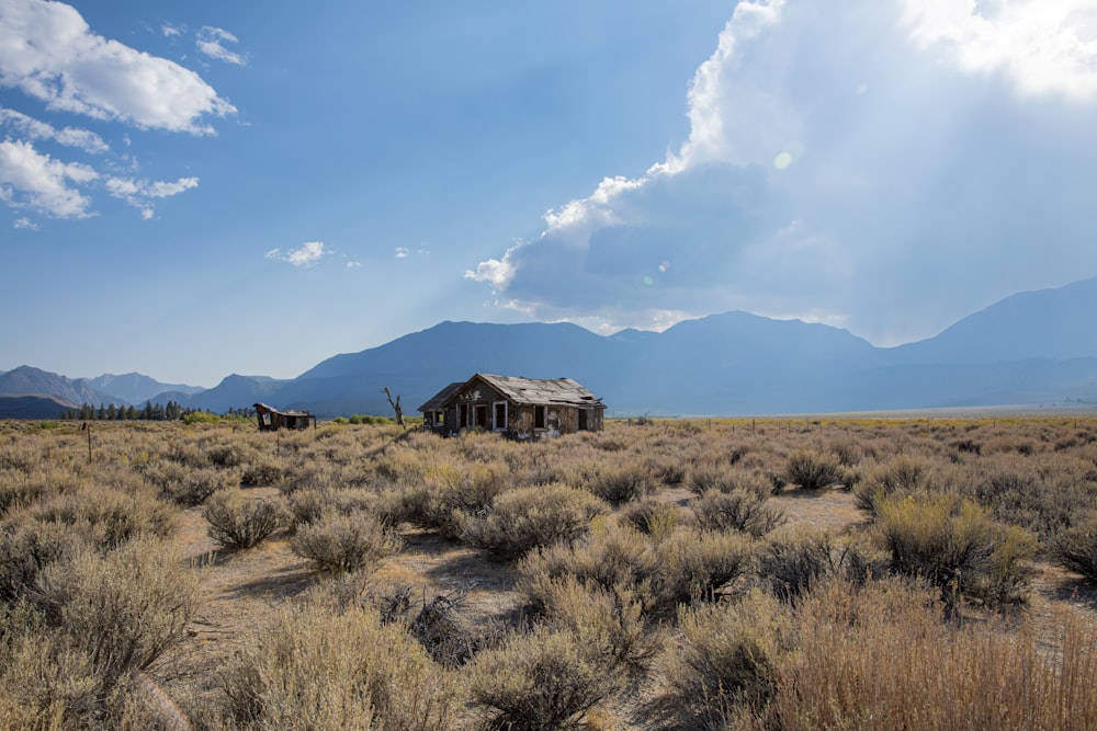 brown wooden house on green grass field under blue sky and white clouds during daytime