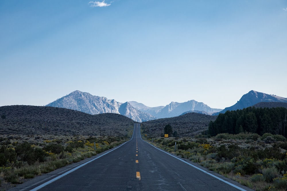 gray concrete road between green trees and mountain during daytime