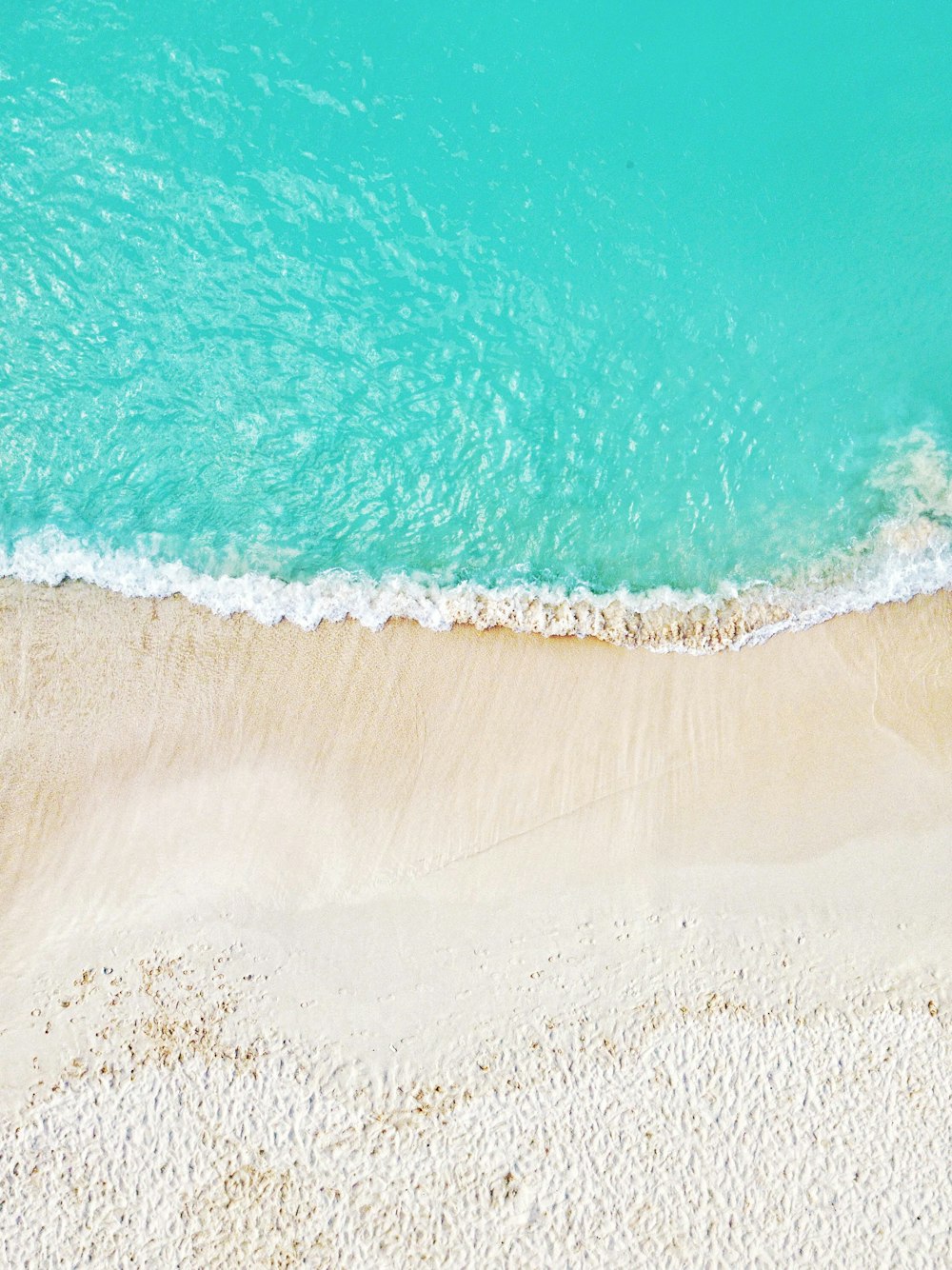 veduta aerea della spiaggia durante il giorno