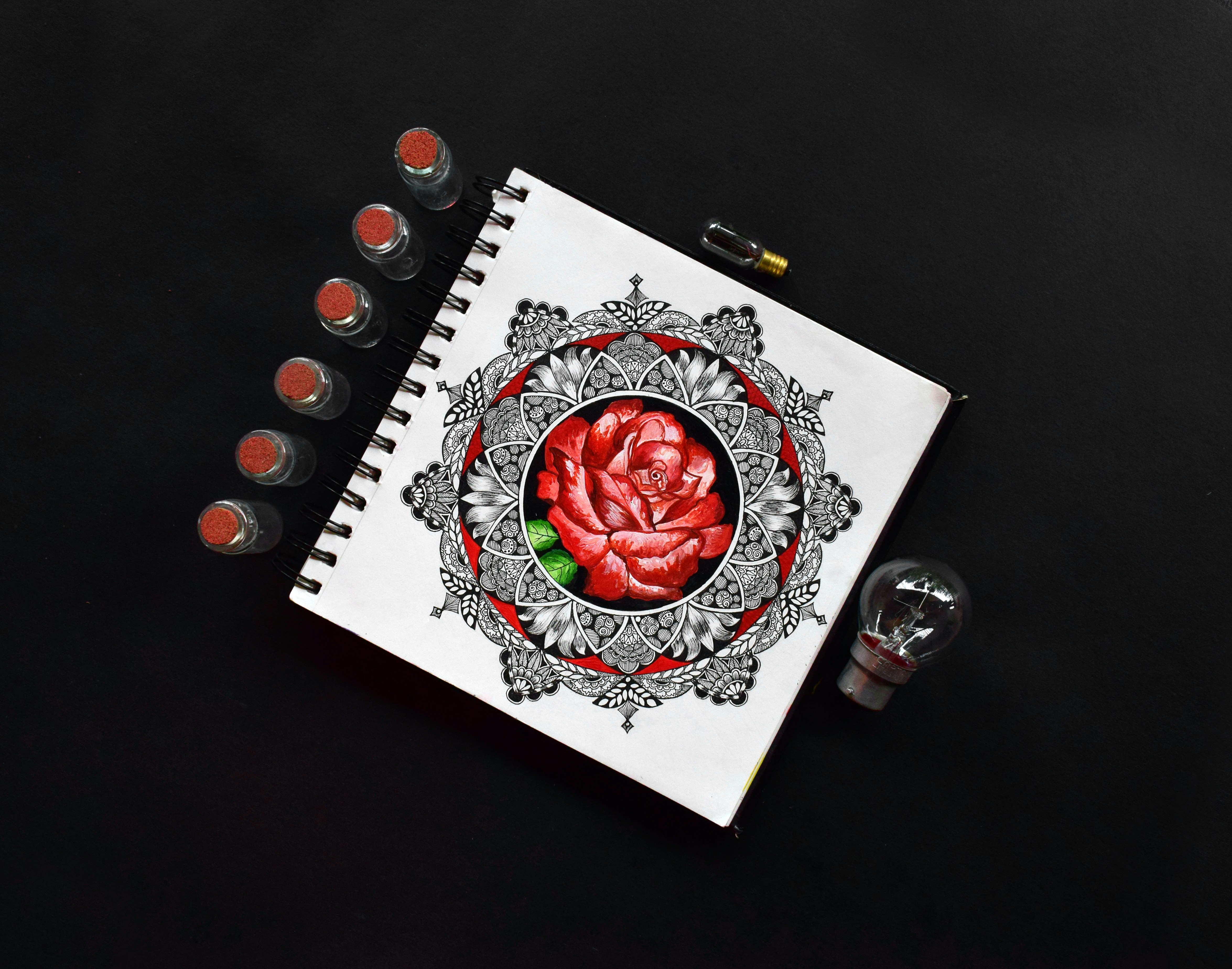 red rose on white paper