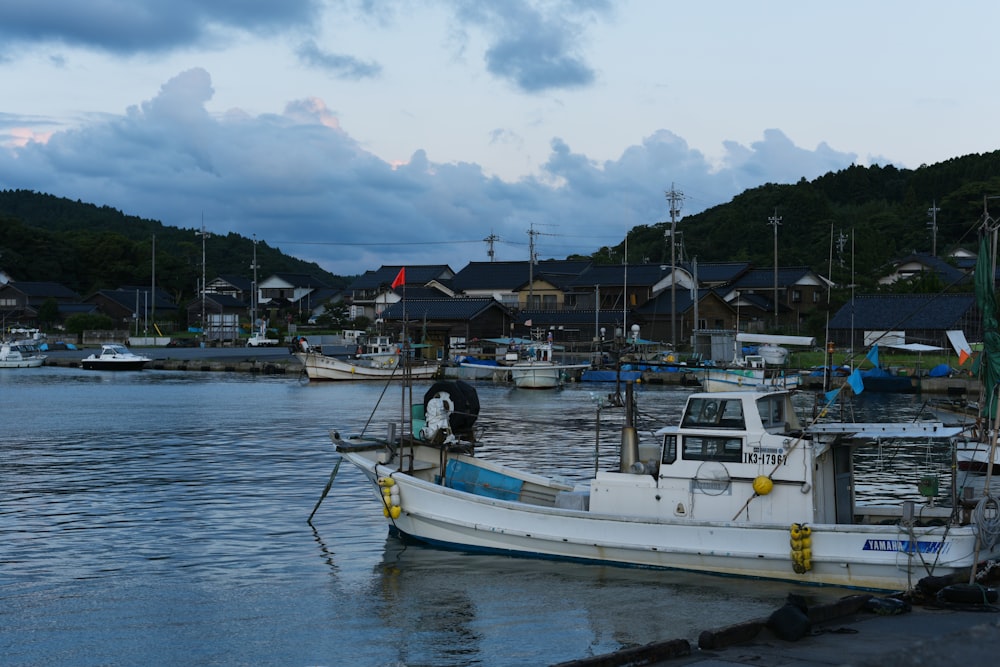 white and blue boat on dock during daytime