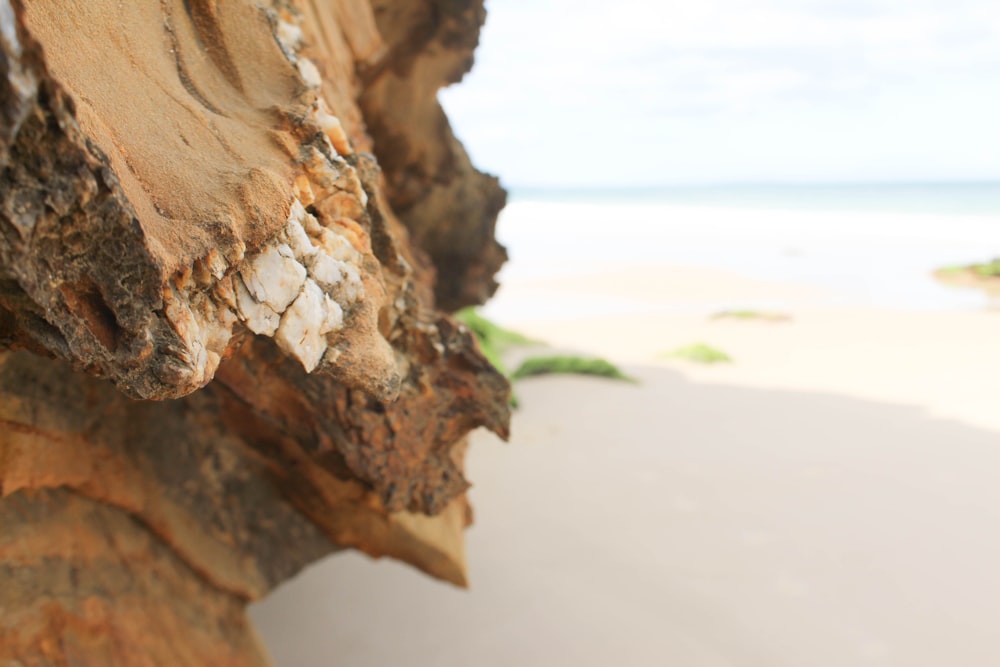 brown rock formation near body of water during daytime