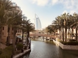 body of water between palm trees and building during daytime
