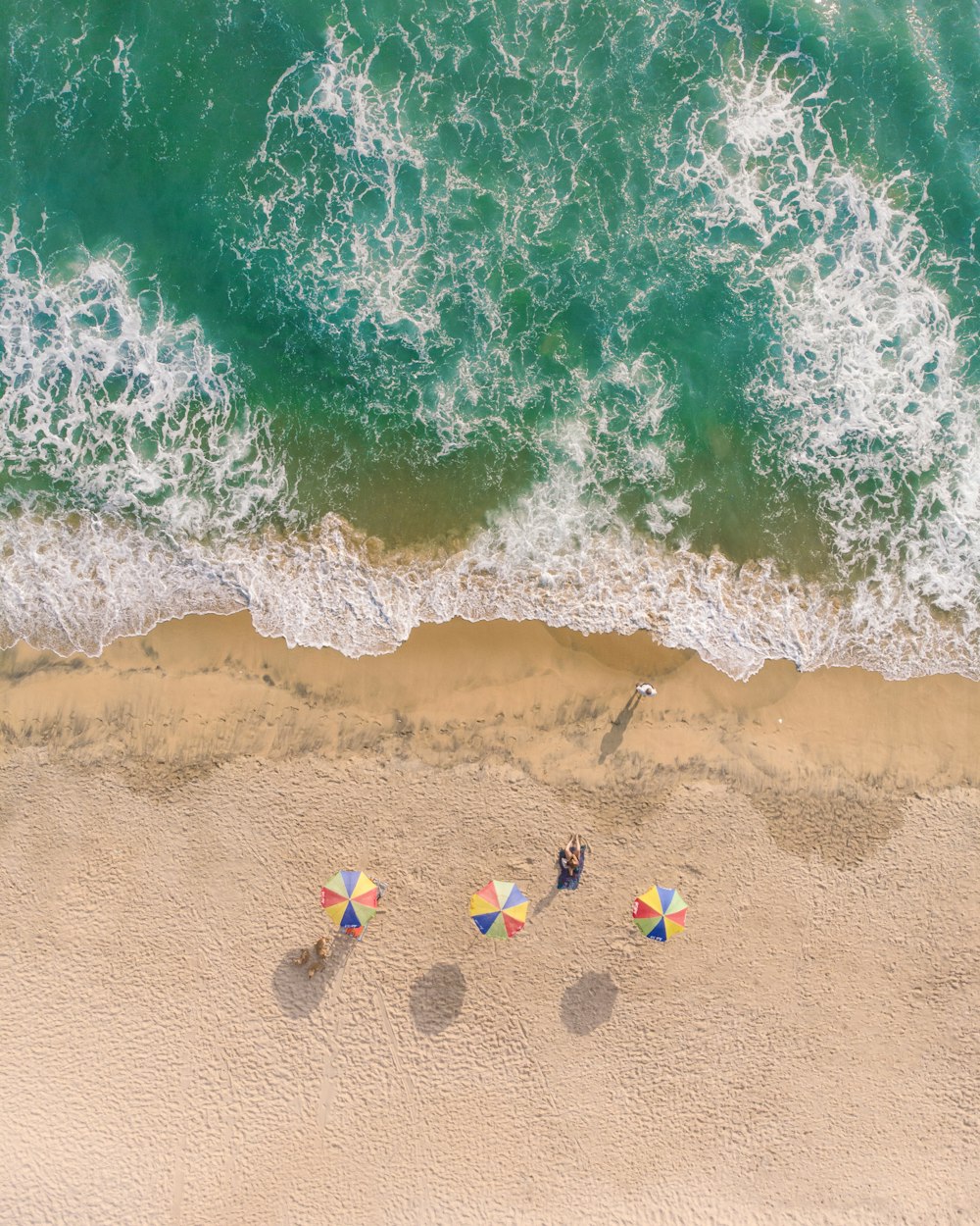 Gente en la playa durante el día