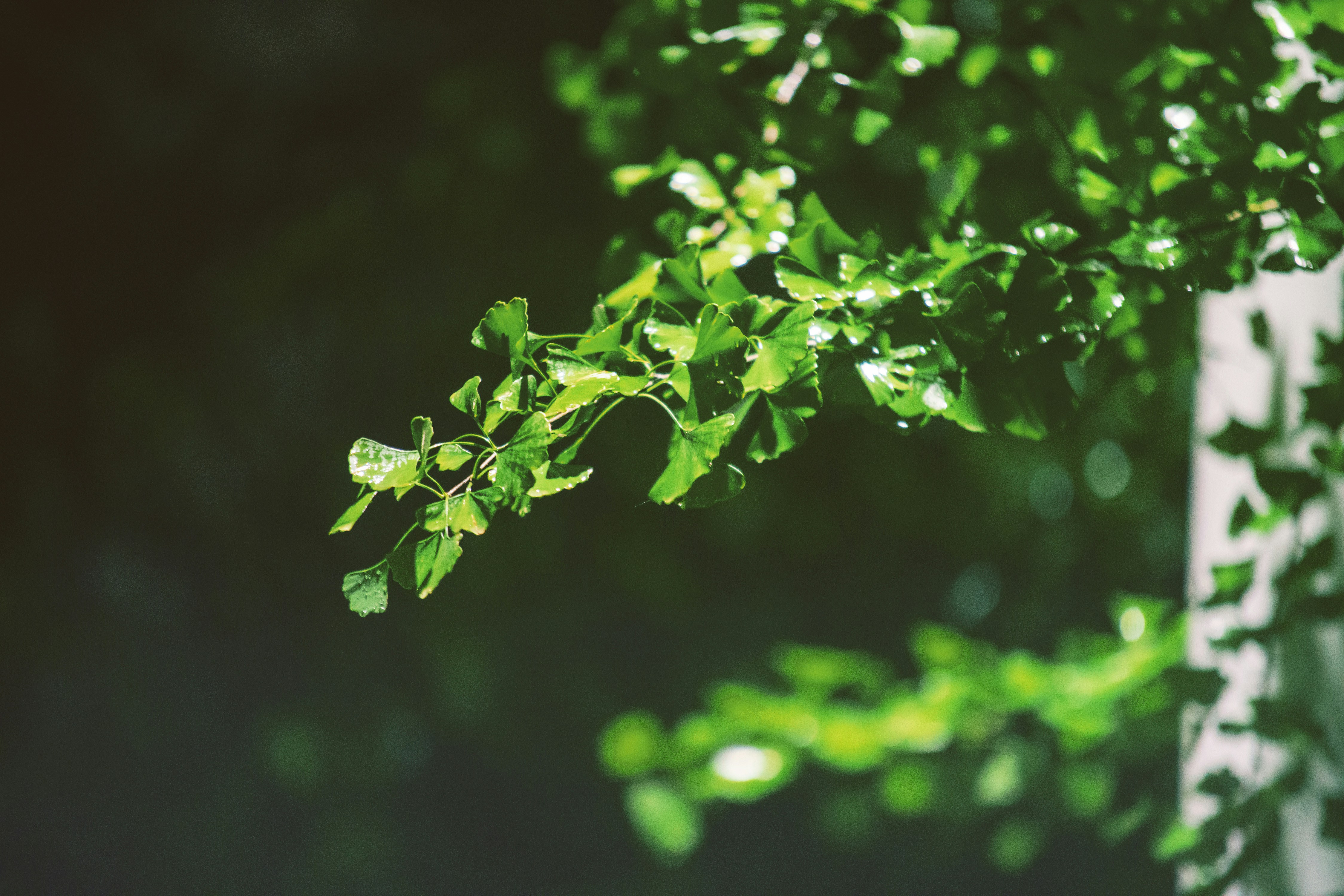 Photo by radsupercell