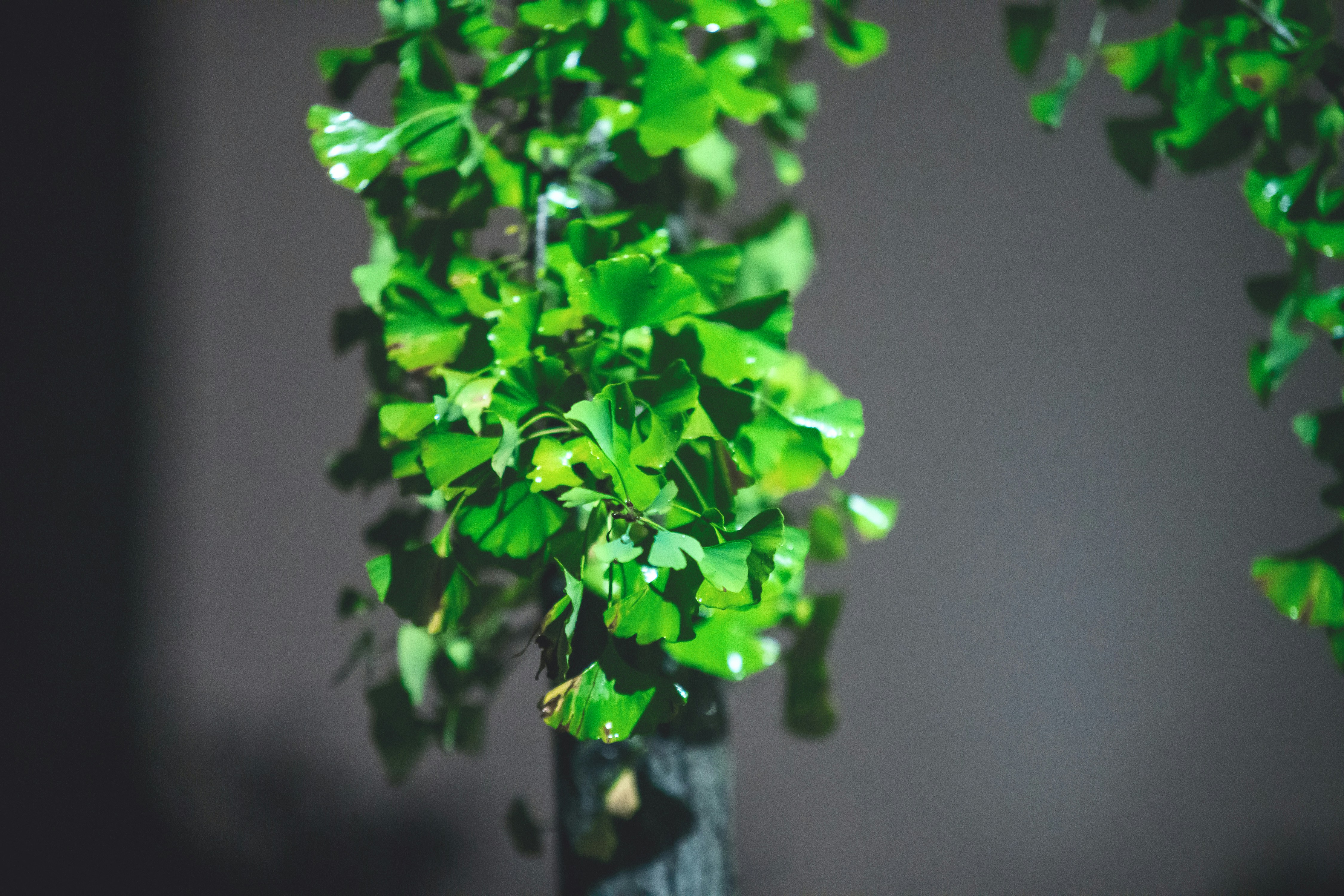 Photo by radsupercell