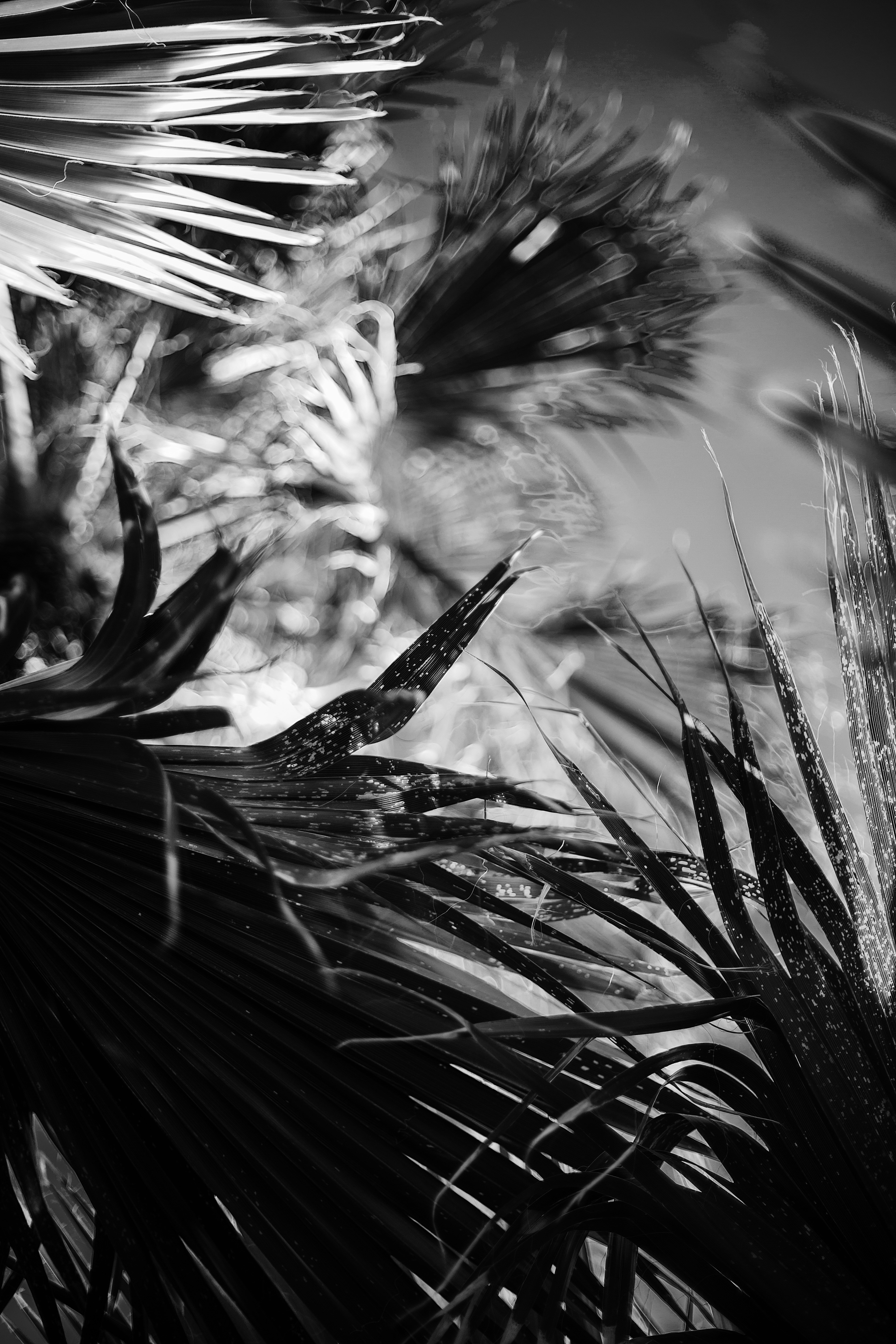 Photo by mannymisfit