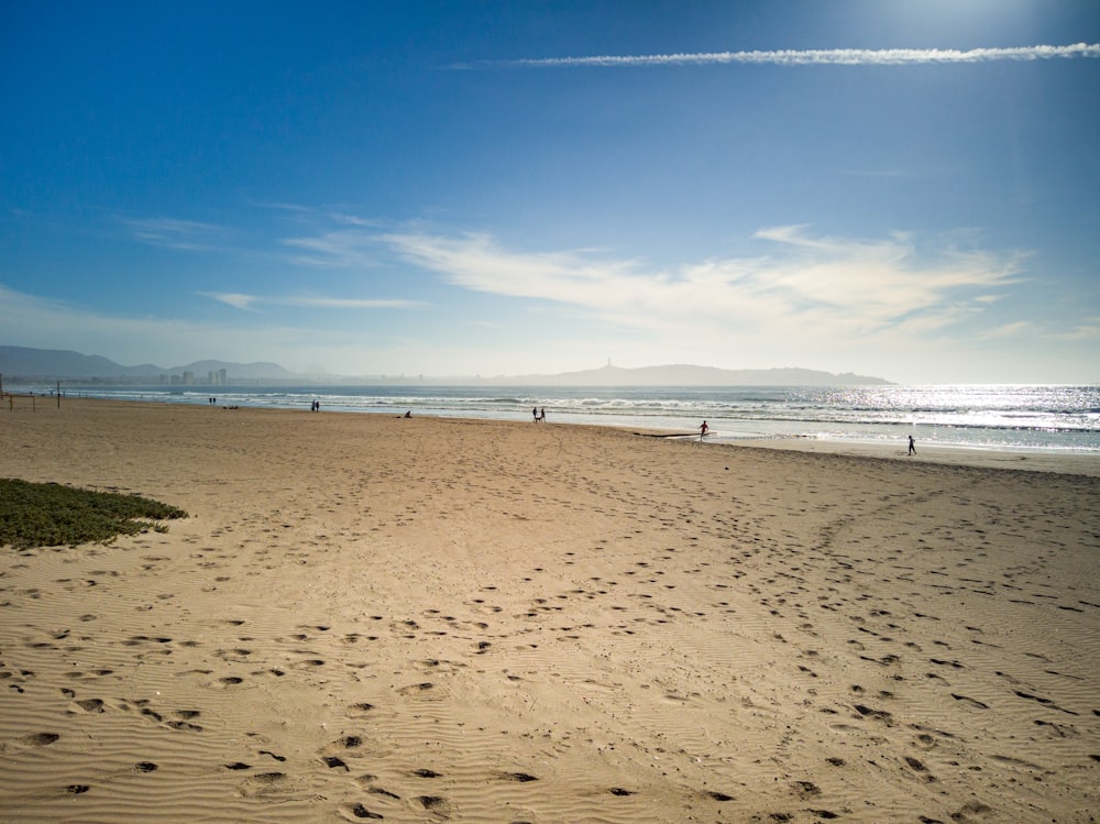 personnes sur la plage pendant la journée