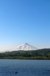 green trees near mountain under blue sky during daytime