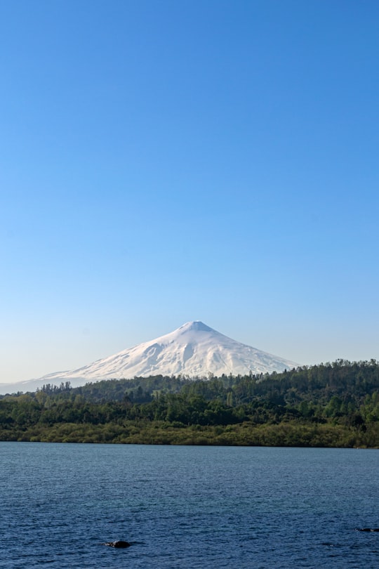 green trees near mountain under blue sky during daytime in Villarrica Chile