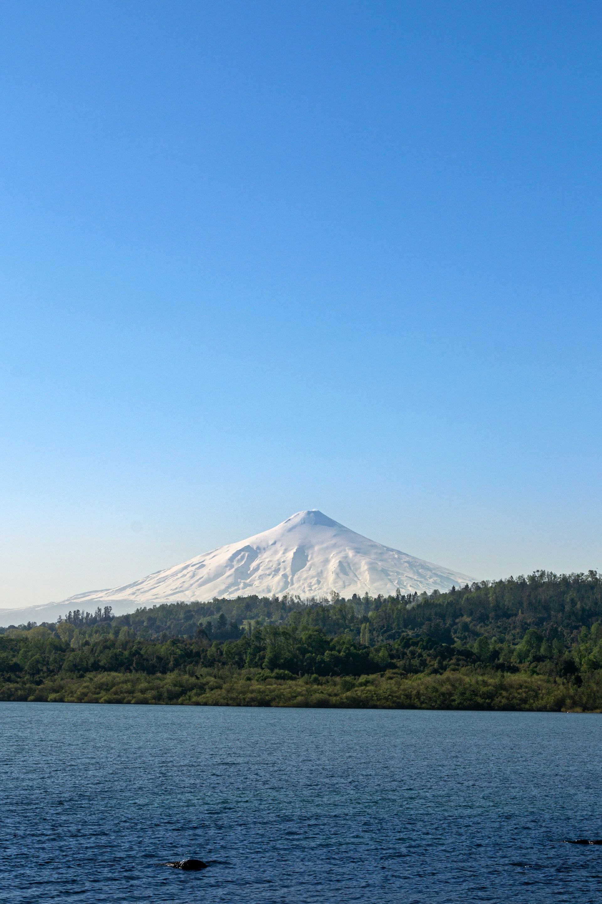 Bosque y montana, Villarrica