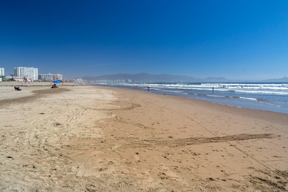 people on beach during daytime