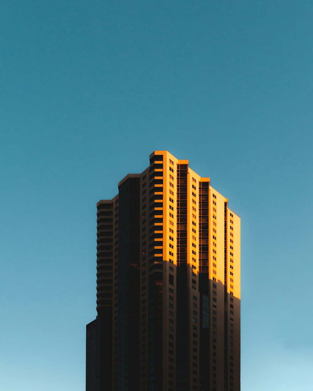brown and black high rise building