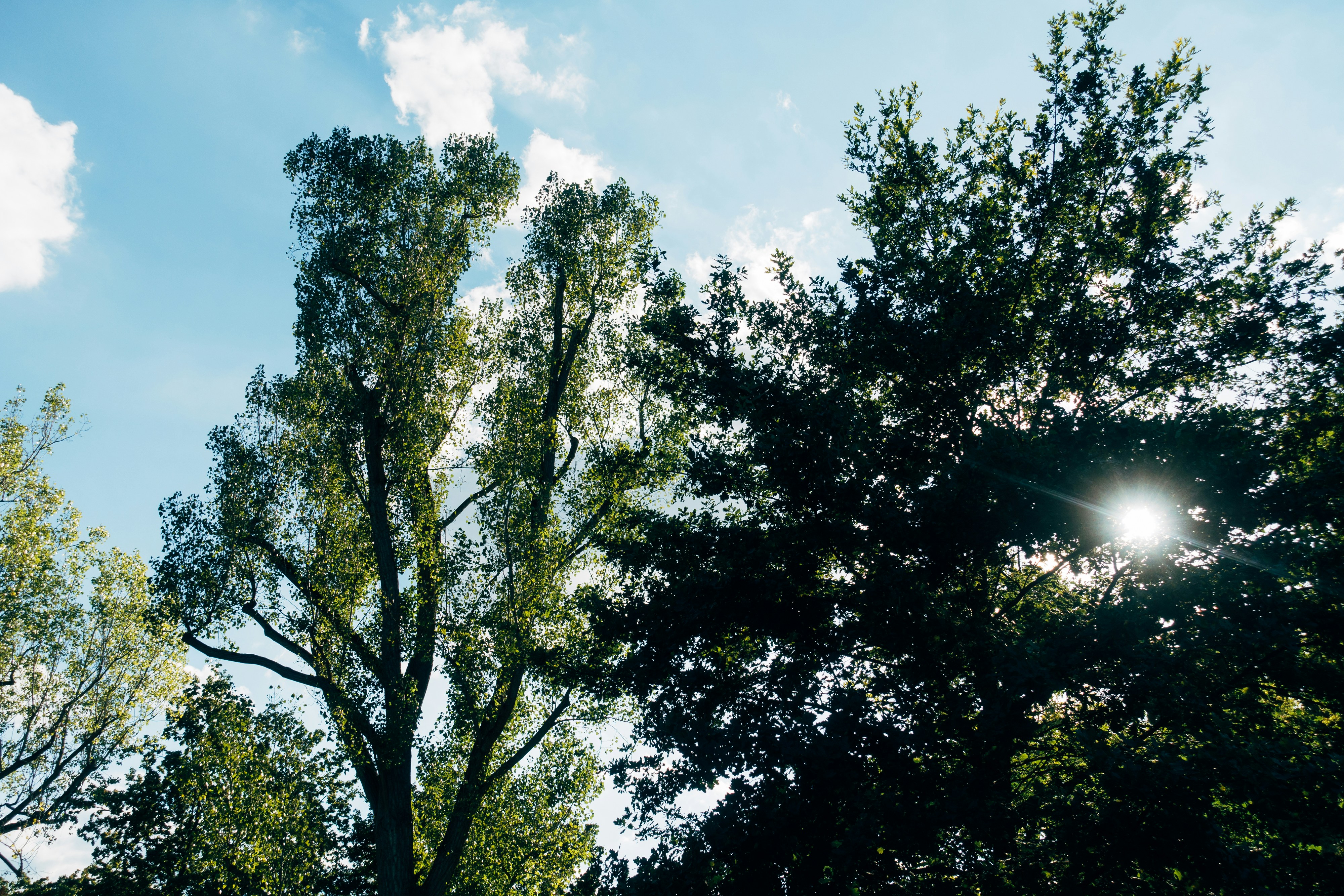 Photo by markuswinkler