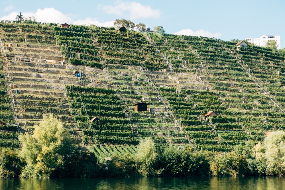 Muro de concreto verde y blanco cerca del cuerpo de agua durante el día