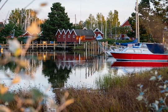 red and white boat on water near green trees during daytime in Arken Denmark