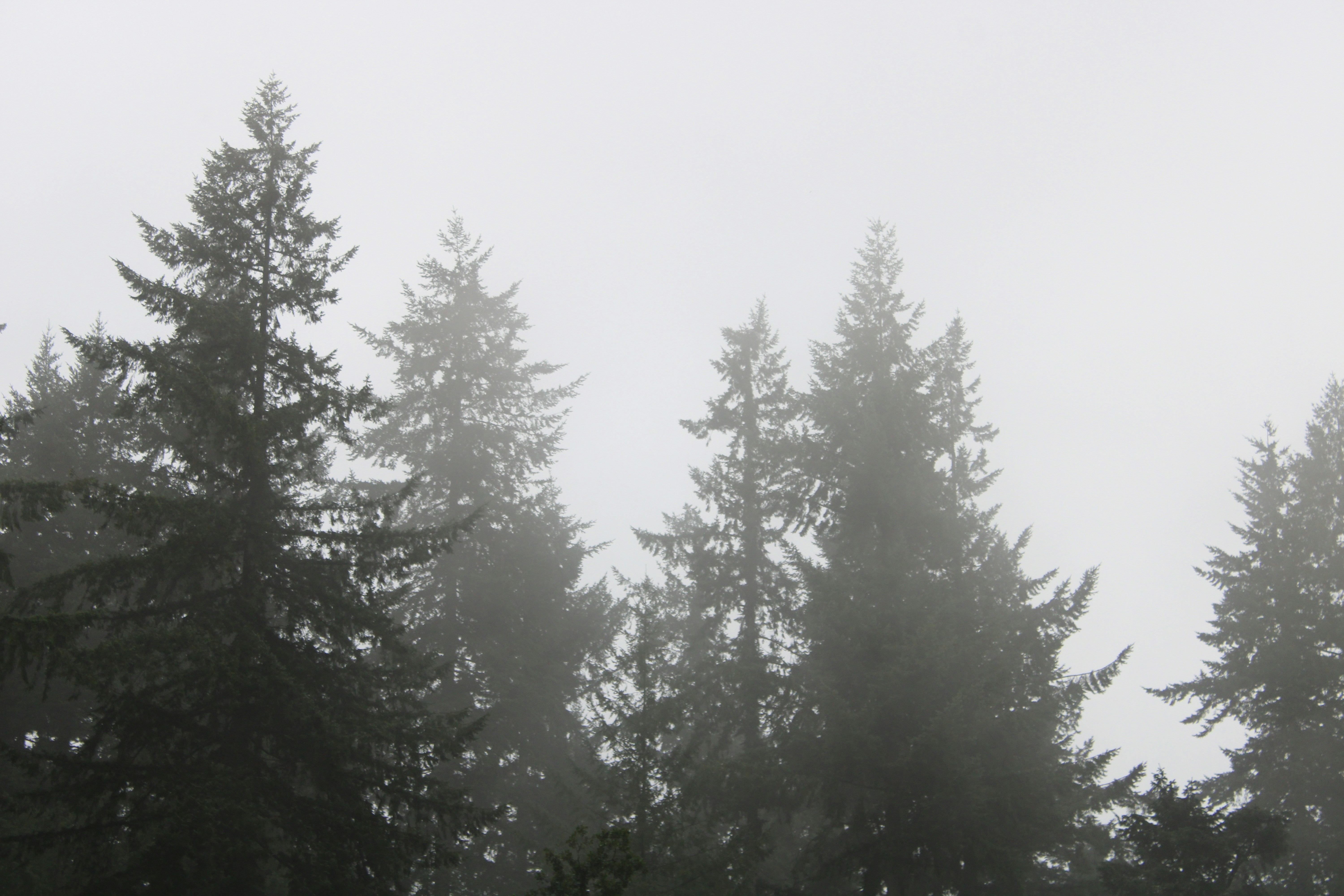 Photo by every_small_step_