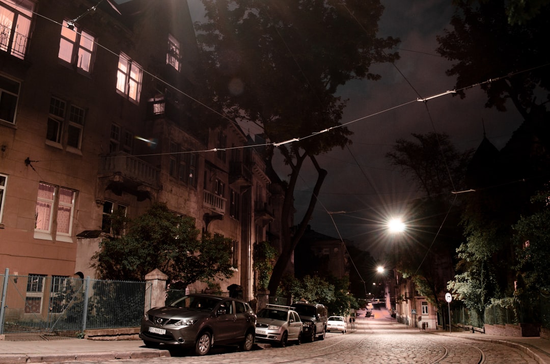 cars parked on side of the road during night time