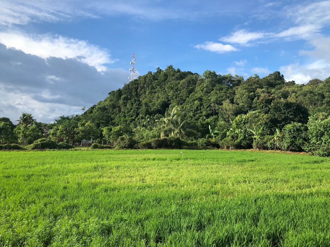 Nature reserve photo spot 01000 Alor Setar