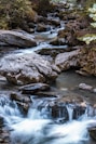 gray and black rocks on river