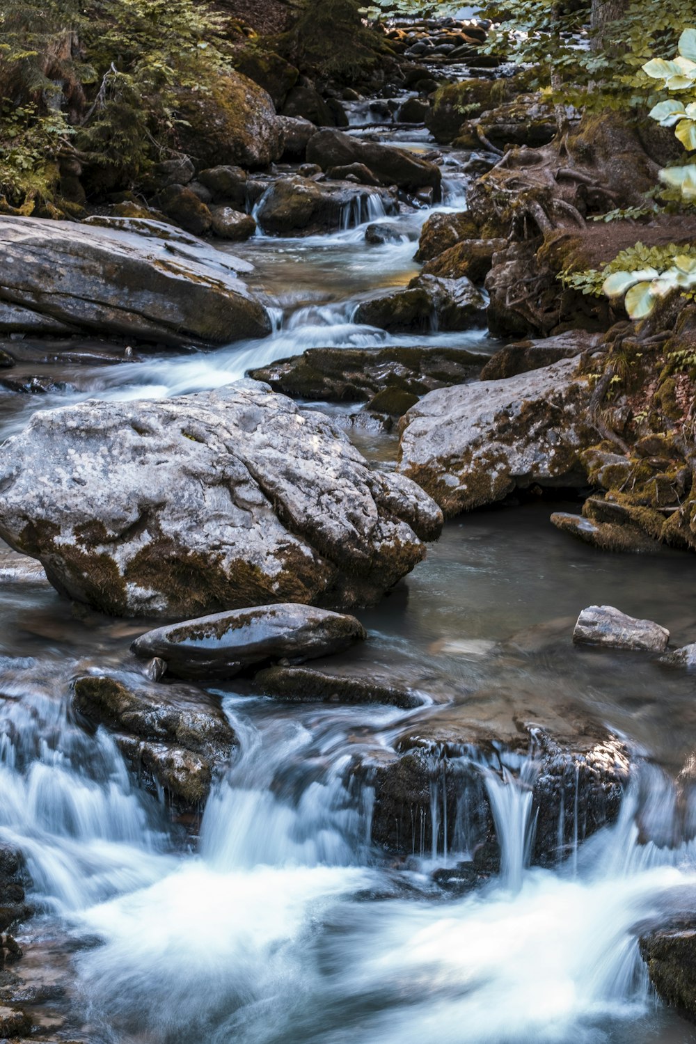 gray and black rocks on river